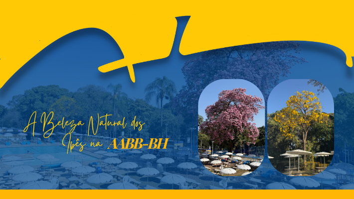 A beleza natural dos ipês na AABB-BH